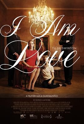 我是爱 (2009) 丨蒂尔达·斯文顿 / 弗拉维奥·帕伦蒂主演丨剧情 / 爱情丨意大利电影丨[奥斯卡]最佳服装设计 提名丨又名: 私情狂(港) 2026-09-10 欧美电影 电影 0 0 33